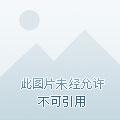 修仙之女主难为